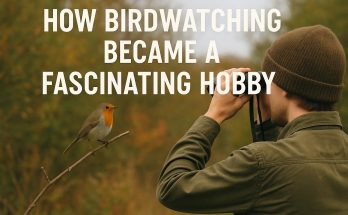 How Birdwatching Became a Fascinating Hobby